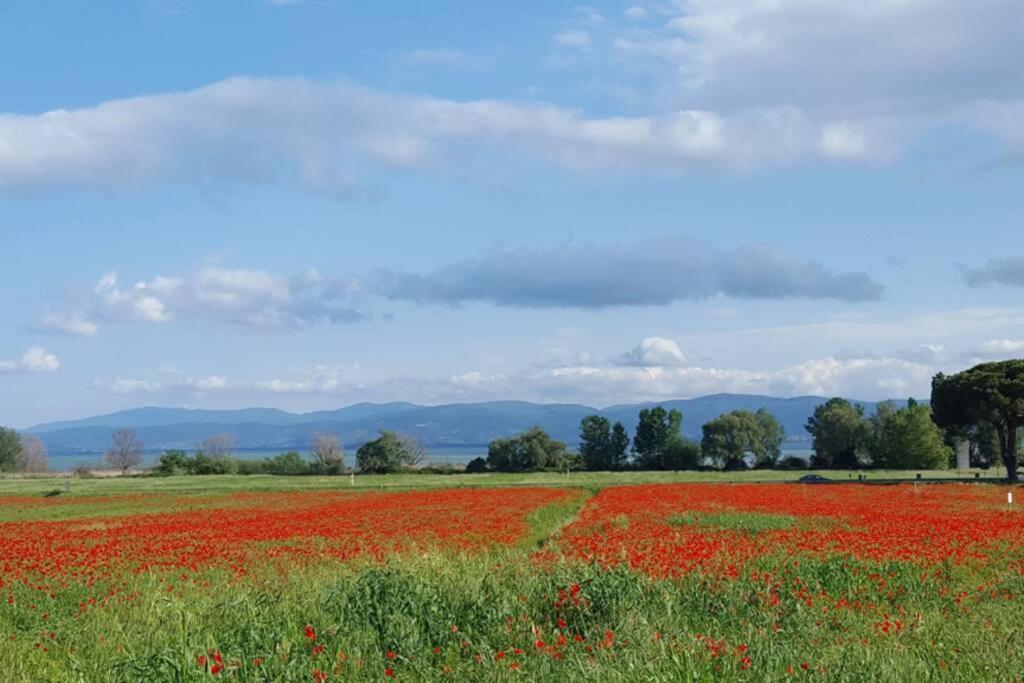 Апартаменти Bellavista La Tua Romantica Vacanza Sul Trasimeno Кастільйоне-дель-Лаго Екстер'єр фото