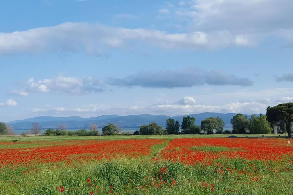 Bellavista La Tua Romantica Vacanza Sul Trasimeno Кастільйоне-дель-Лаго Екстер'єр фото