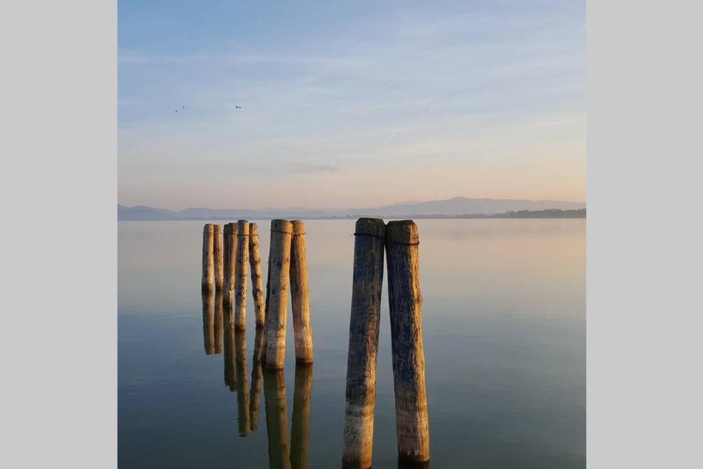 Апартаменти Bellavista La Tua Romantica Vacanza Sul Trasimeno Кастільйоне-дель-Лаго Екстер'єр фото