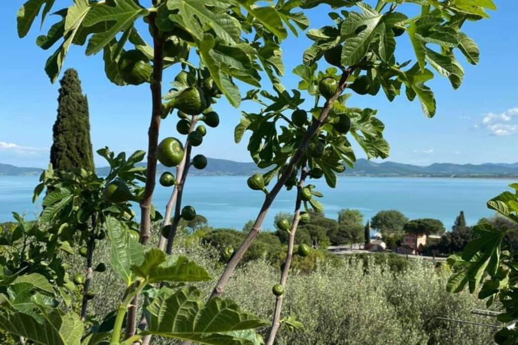 Апартаменти Bellavista La Tua Romantica Vacanza Sul Trasimeno Кастільйоне-дель-Лаго Екстер'єр фото