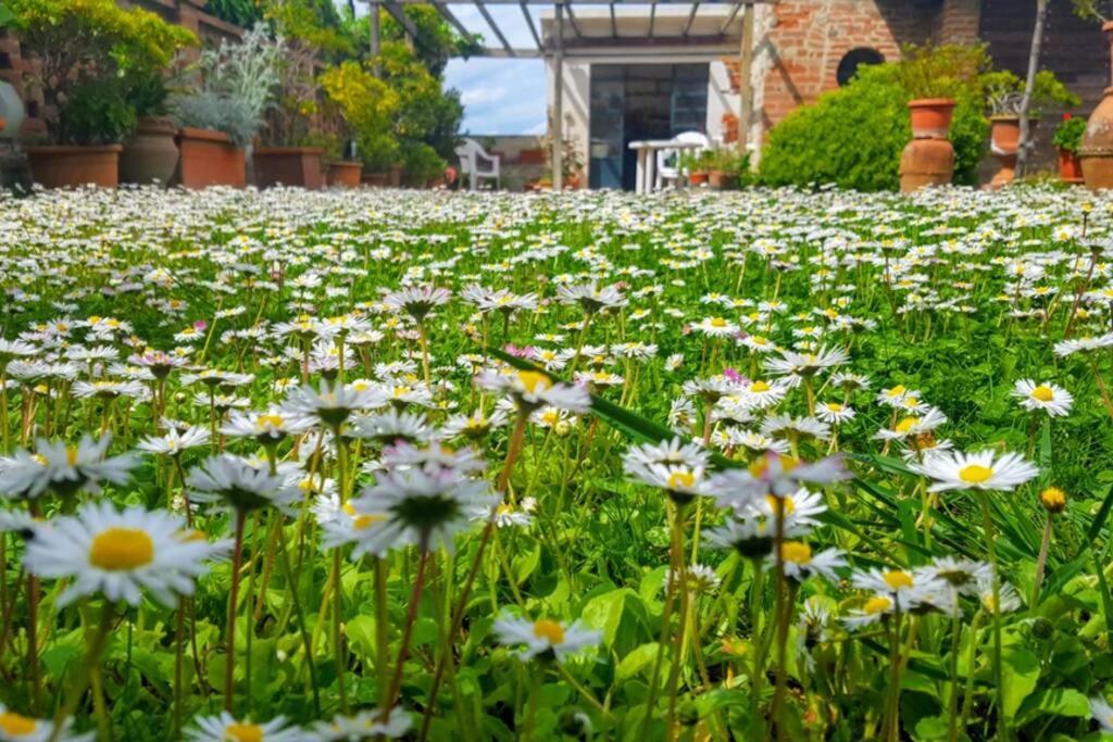 Апартаменти Bellavista La Tua Romantica Vacanza Sul Trasimeno Кастільйоне-дель-Лаго Екстер'єр фото