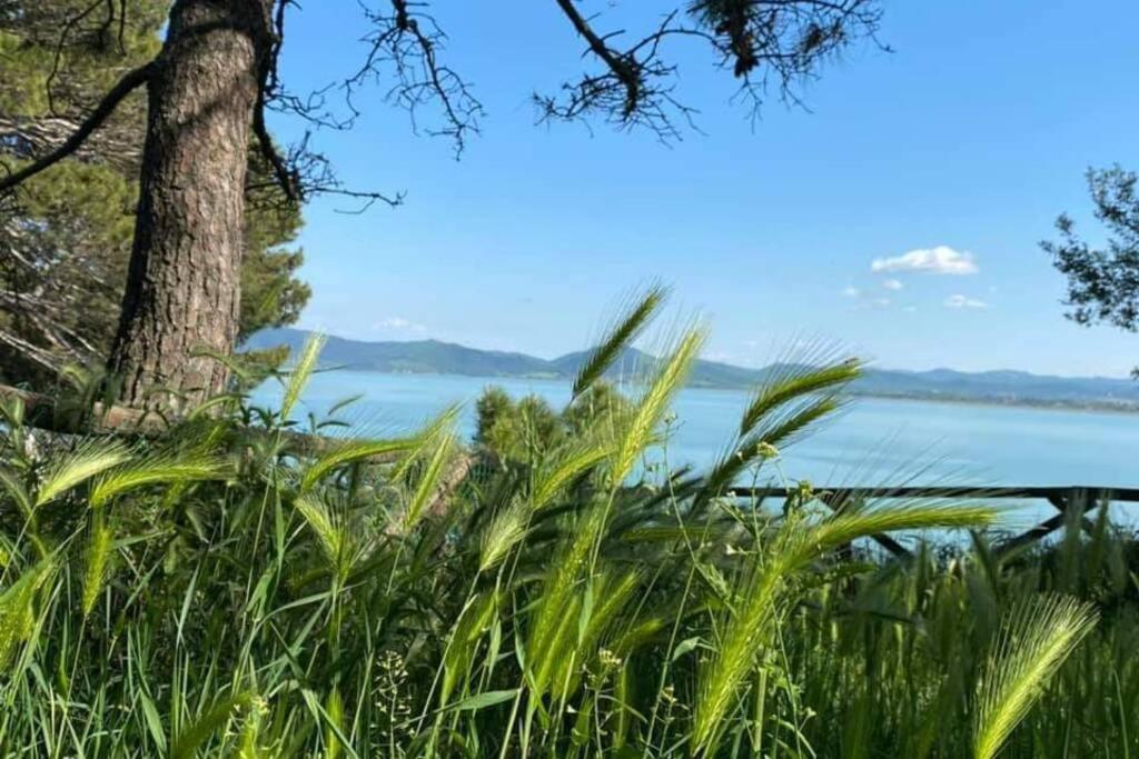 Апартаменти Bellavista La Tua Romantica Vacanza Sul Trasimeno Кастільйоне-дель-Лаго Екстер'єр фото