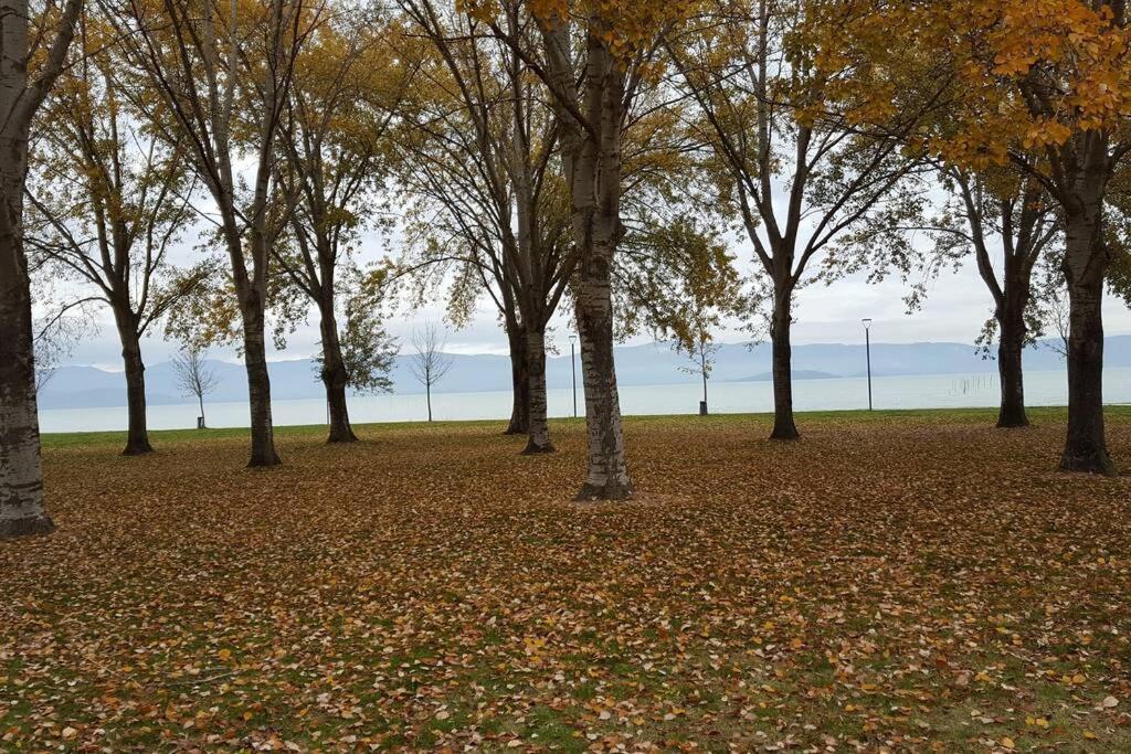 Апартаменти Bellavista La Tua Romantica Vacanza Sul Trasimeno Кастільйоне-дель-Лаго Екстер'єр фото