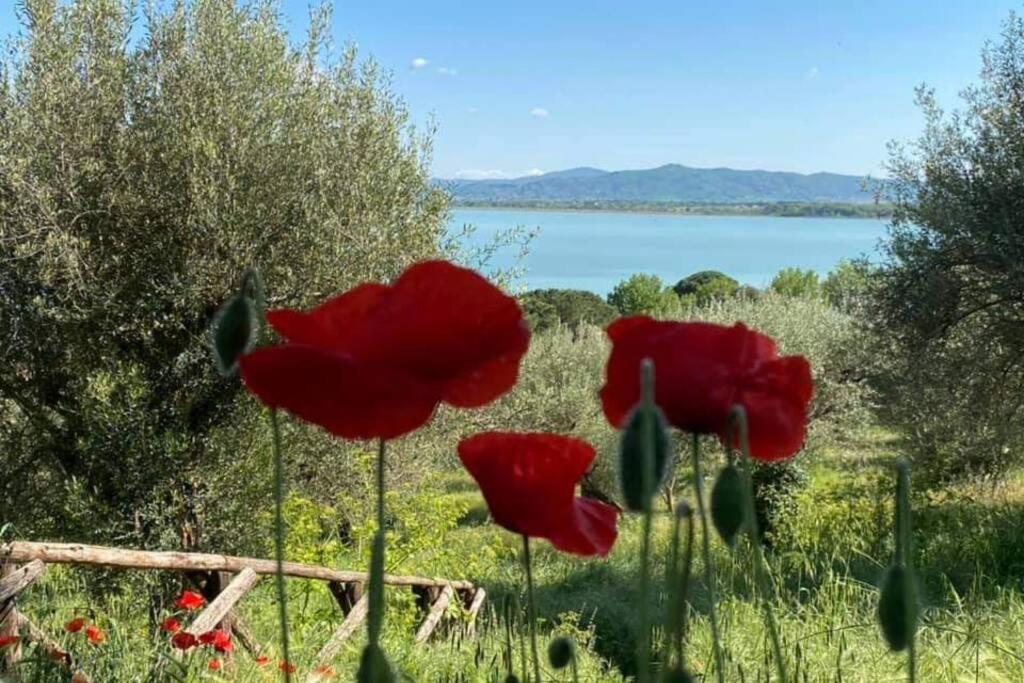 Апартаменти Bellavista La Tua Romantica Vacanza Sul Trasimeno Кастільйоне-дель-Лаго Екстер'єр фото