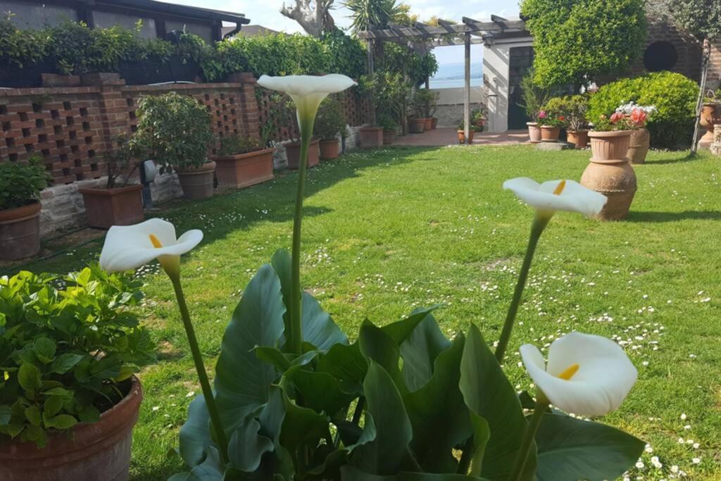 Bellavista La Tua Romantica Vacanza Sul Trasimeno Кастільйоне-дель-Лаго Екстер'єр фото
